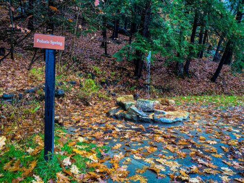 The Polaris Spouter Spring - Friends of Saratoga Spa State Park